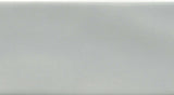 Emser Craft II 3"x6" Polished Gray